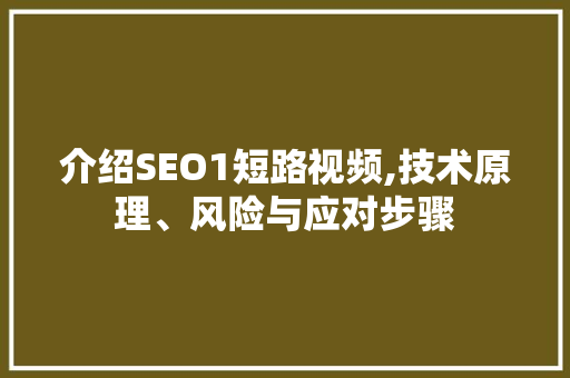 介绍SEO1短路视频,技术原理、风险与应对步骤  第1张