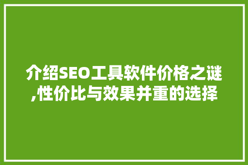 介绍SEO工具软件价格之谜,性价比与效果并重的选择之路