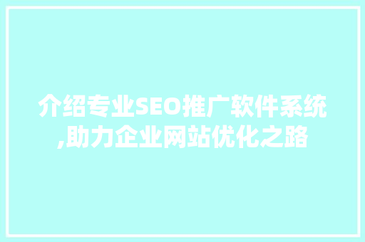介绍专业SEO推广软件系统,助力企业网站优化之路