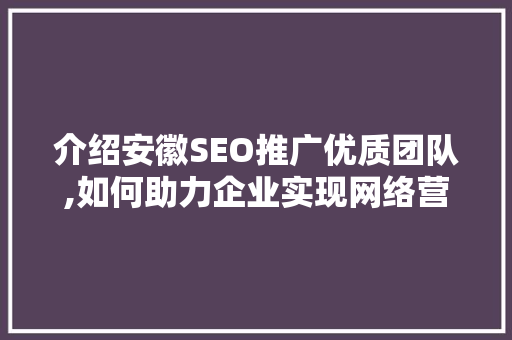 介绍安徽SEO推广优质团队,如何助力企业实现网络营销新突破  第1张