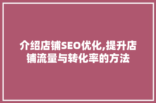 介绍店铺SEO优化,提升店铺流量与转化率的方法  第1张