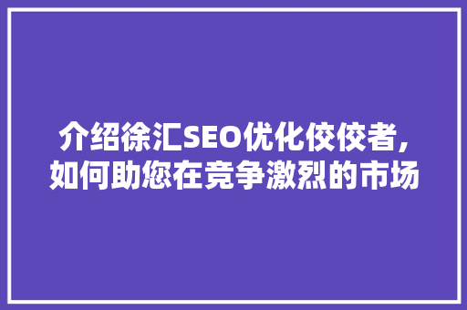 介绍徐汇SEO优化佼佼者,如何助您在竞争激烈的市场中脱颖而出