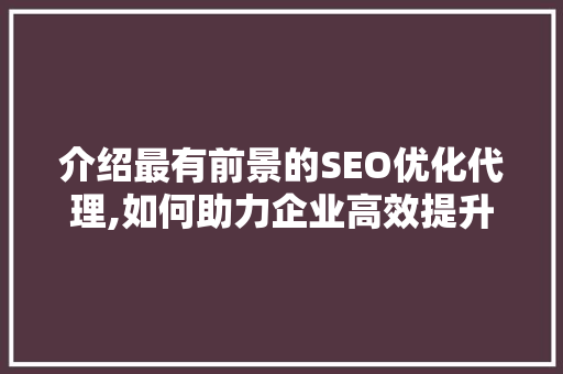 介绍最有前景的SEO优化代理,如何助力企业高效提升网站排名