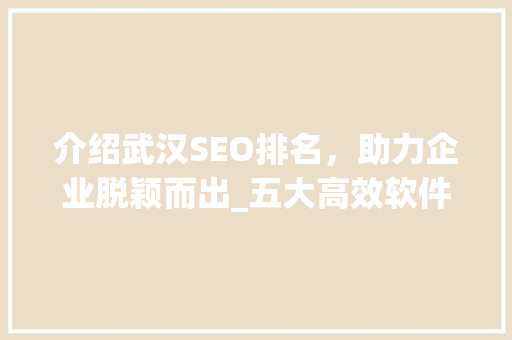 介绍武汉SEO排名，助力企业脱颖而出_五大高效软件推荐