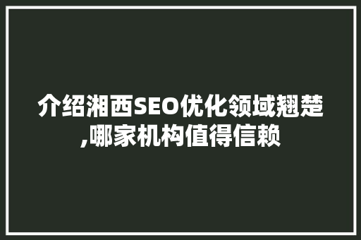 介绍湘西SEO优化领域翘楚,哪家机构值得信赖
