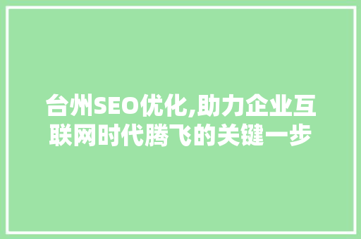 台州SEO优化,助力企业互联网时代腾飞的关键一步
