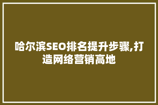 哈尔滨SEO排名提升步骤,打造网络营销高地