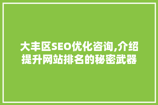 大丰区SEO优化咨询,介绍提升网站排名的秘密武器