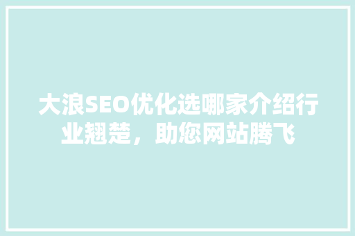 大浪SEO优化选哪家介绍行业翘楚，助您网站腾飞