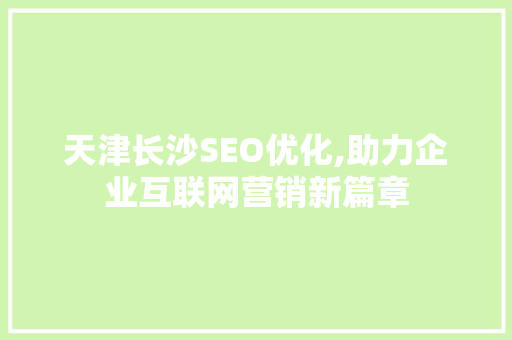 天津长沙SEO优化,助力企业互联网营销新篇章