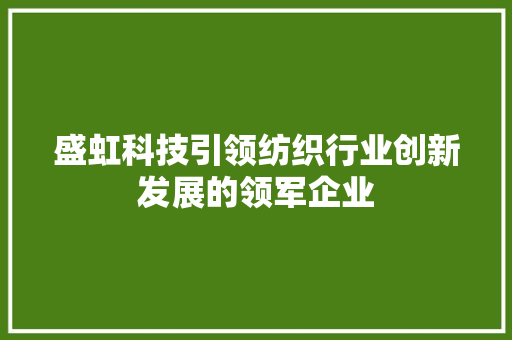 盛虹科技引领纺织行业创新发展的领军企业