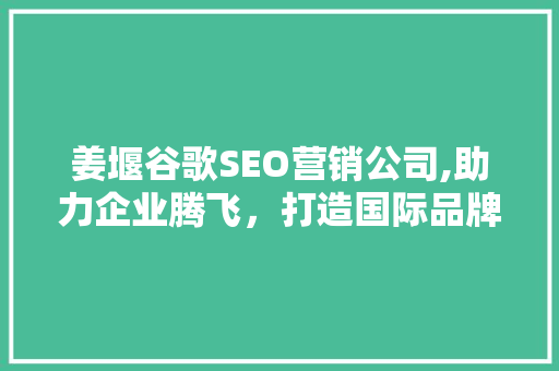 姜堰谷歌SEO营销公司,助力企业腾飞，打造国际品牌