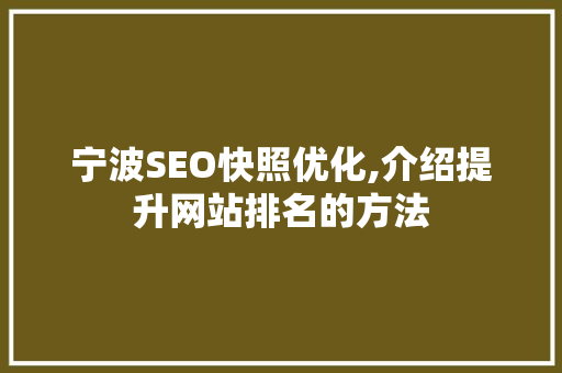 宁波SEO快照优化,介绍提升网站排名的方法  第1张