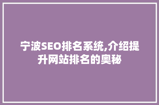 宁波SEO排名系统,介绍提升网站排名的奥秘