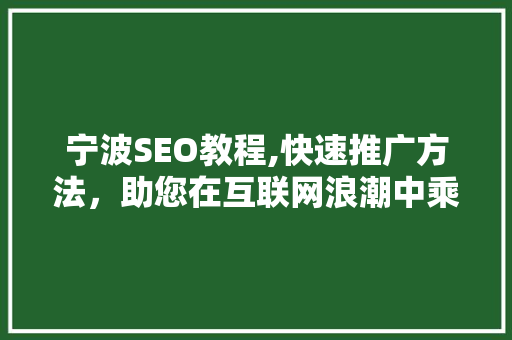宁波SEO教程,快速推广方法，助您在互联网浪潮中乘风破浪