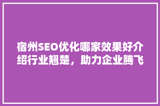宿州SEO优化哪家效果好介绍行业翘楚，助力企业腾飞！