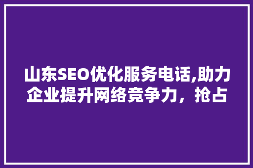 山东SEO优化服务电话,助力企业提升网络竞争力，抢占市场先机