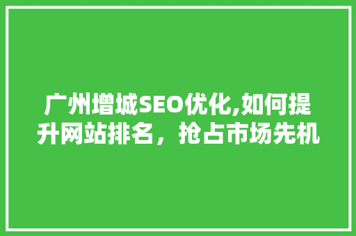 广州增城SEO优化,如何提升网站排名，抢占市场先机