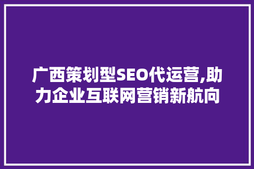 广西策划型SEO代运营,助力企业互联网营销新航向