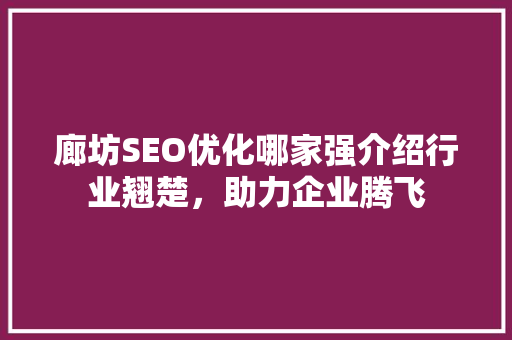 廊坊SEO优化哪家强介绍行业翘楚，助力企业腾飞