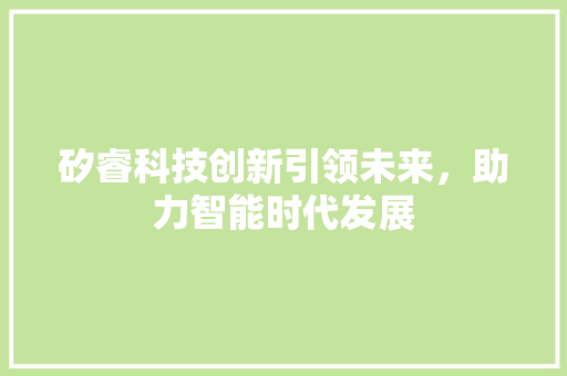 矽睿科技创新引领未来，助力智能时代发展