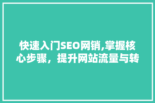 快速入门SEO网销,掌握核心步骤，提升网站流量与转化率  第1张