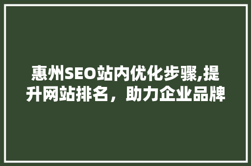 惠州SEO站内优化步骤,提升网站排名，助力企业品牌建设