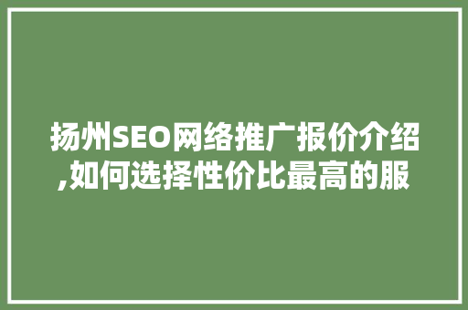 扬州SEO网络推广报价介绍,如何选择性价比最高的服务
