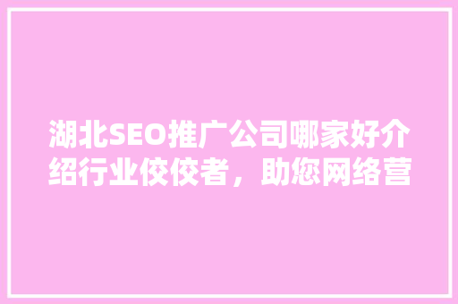 湖北SEO推广公司哪家好介绍行业佼佼者，助您网络营销一臂之力