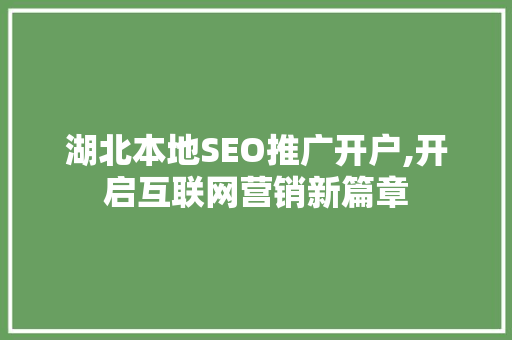 湖北本地SEO推广开户,开启互联网营销新篇章