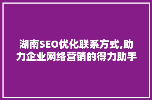 湖南SEO优化联系方式,助力企业网络营销的得力助手