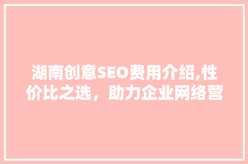 湖南创意SEO费用介绍,性价比之选，助力企业网络营销腾飞