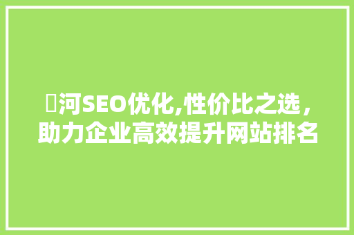 瀍河SEO优化,性价比之选，助力企业高效提升网站排名