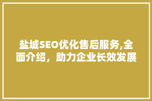 盐城SEO优化售后服务,全面介绍，助力企业长效发展
