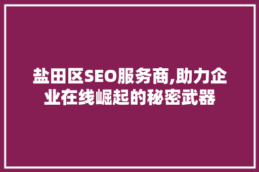盐田区SEO服务商,助力企业在线崛起的秘密武器