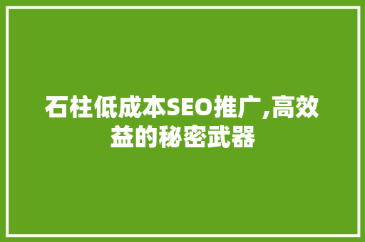 石柱低成本SEO推广,高效益的秘密武器
