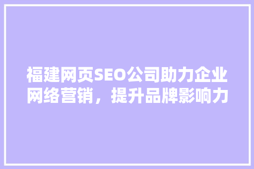 福建网页SEO公司助力企业网络营销，提升品牌影响力