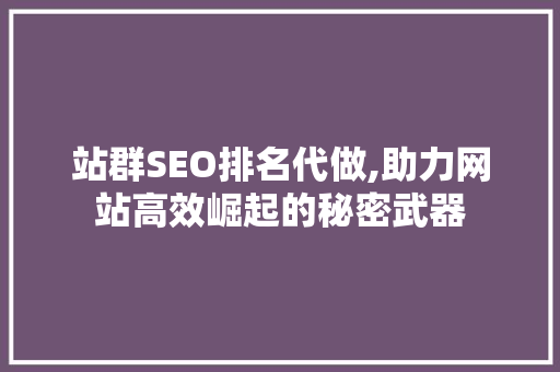 站群SEO排名代做,助力网站高效崛起的秘密武器