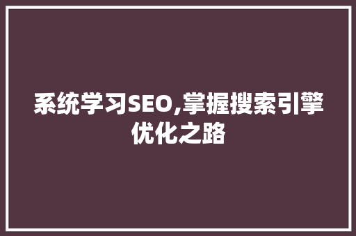 系统学习SEO,掌握搜索引擎优化之路