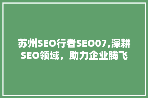 苏州SEO行者SEO07,深耕SEO领域，助力企业腾飞