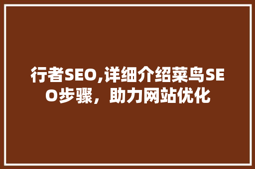 行者SEO,详细介绍菜鸟SEO步骤，助力网站优化
