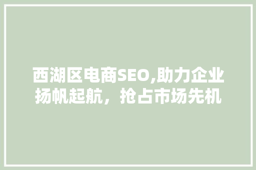 西湖区电商SEO,助力企业扬帆起航，抢占市场先机