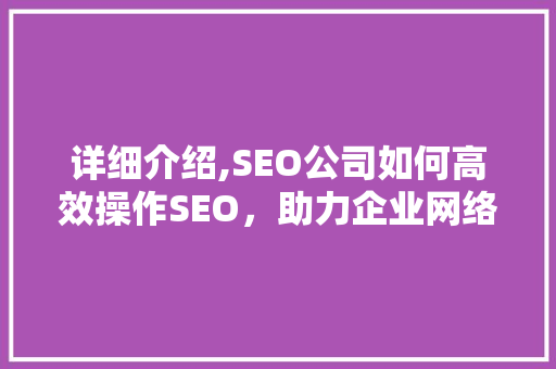 详细介绍,SEO公司如何高效操作SEO，助力企业网络营销腾飞