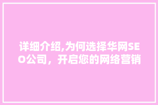 详细介绍,为何选择华网SEO公司，开启您的网络营销新篇章  第1张