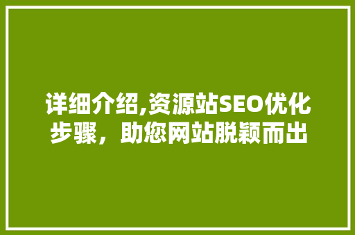 详细介绍,资源站SEO优化步骤，助您网站脱颖而出
