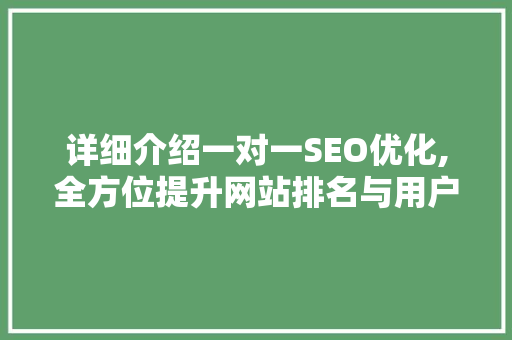 详细介绍一对一SEO优化,全方位提升网站排名与用户体验