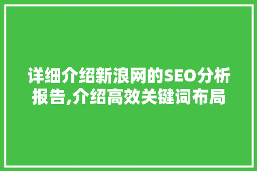 详细介绍新浪网的SEO分析报告,介绍高效关键词布局之路  第1张