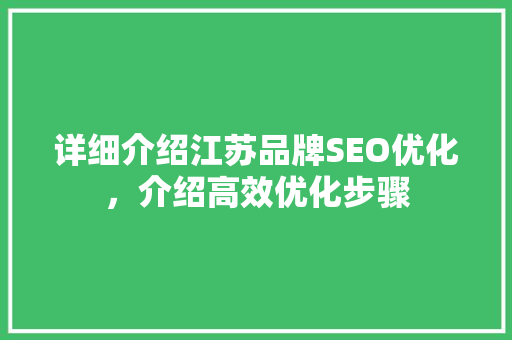 详细介绍江苏品牌SEO优化，介绍高效优化步骤