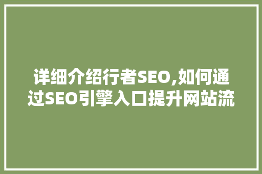 详细介绍行者SEO,如何通过SEO引擎入口提升网站流量