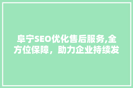 阜宁SEO优化售后服务,全方位保障，助力企业持续发展  第1张